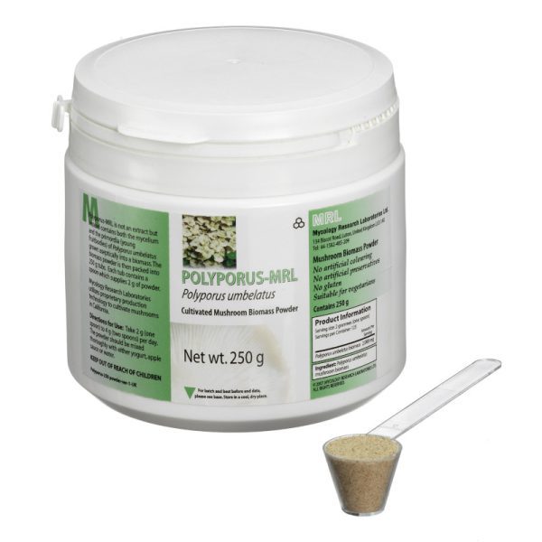 Polyporus-MRL - Polyporus umbellatus - Pó 250g